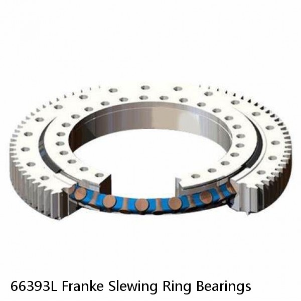 66393L Franke Slewing Ring Bearings