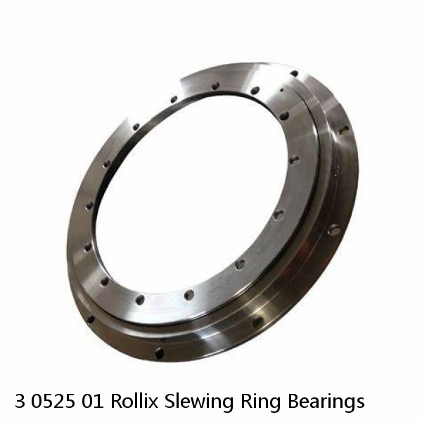3 0525 01 Rollix Slewing Ring Bearings #1 small image