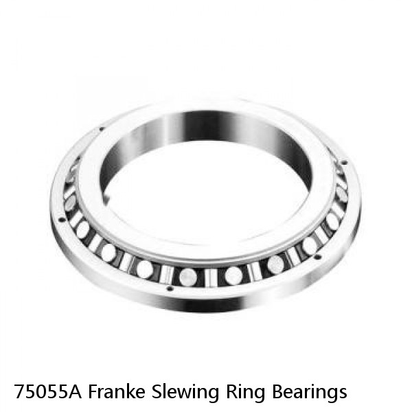 75055A Franke Slewing Ring Bearings #1 small image