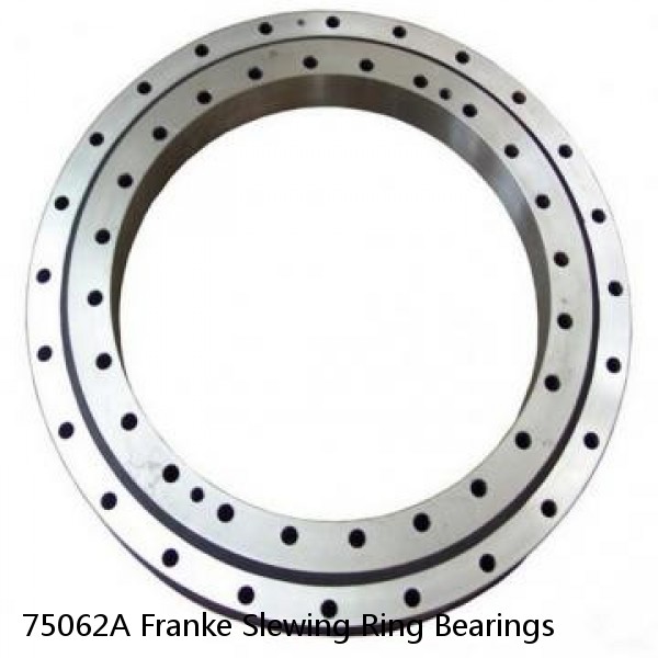 75062A Franke Slewing Ring Bearings