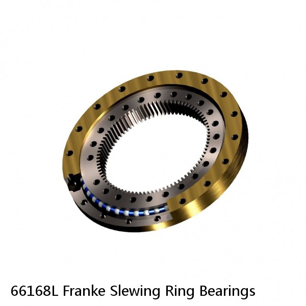 66168L Franke Slewing Ring Bearings #1 small image