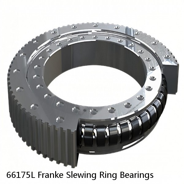 66175L Franke Slewing Ring Bearings
