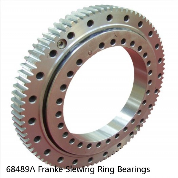 68489A Franke Slewing Ring Bearings #1 small image