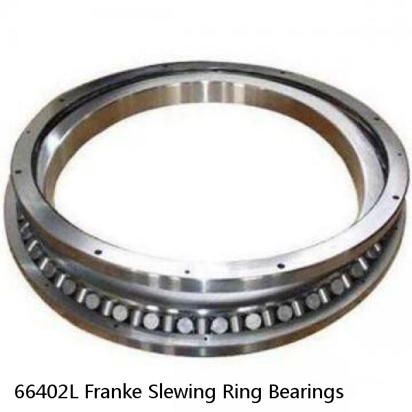 66402L Franke Slewing Ring Bearings #1 image