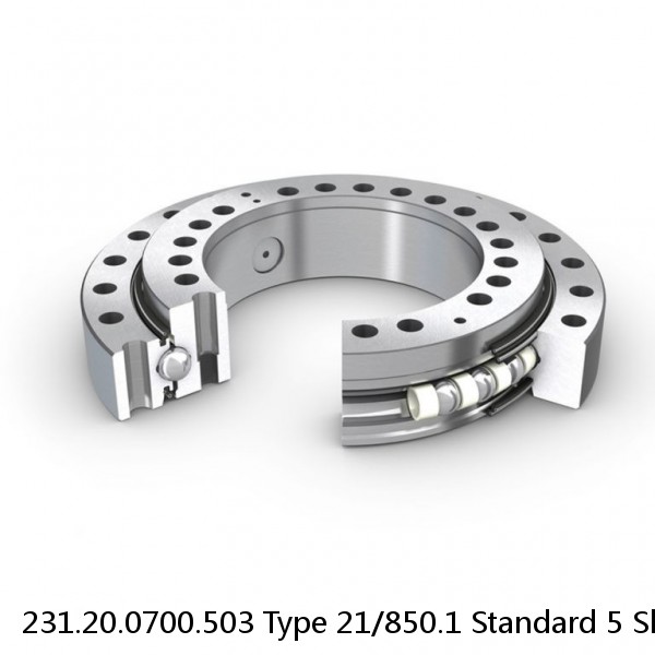 231.20.0700.503 Type 21/850.1 Standard 5 Slewing Ring Bearings #1 image