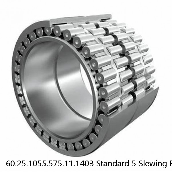 60.25.1055.575.11.1403 Standard 5 Slewing Ring Bearings #1 image