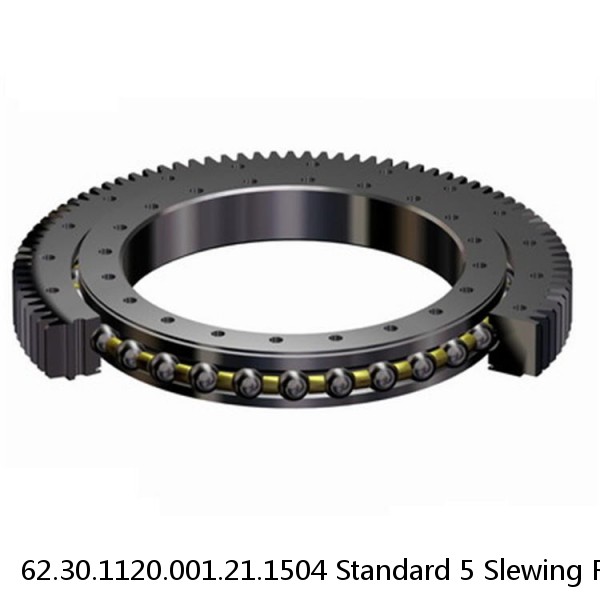 62.30.1120.001.21.1504 Standard 5 Slewing Ring Bearings #1 image