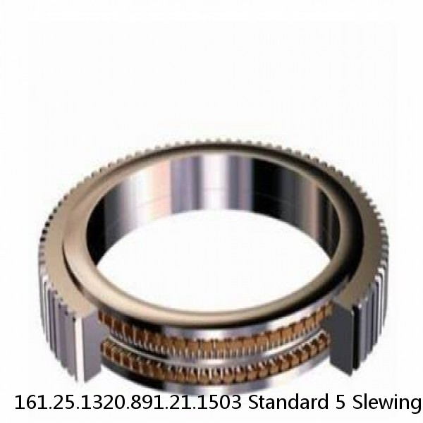 161.25.1320.891.21.1503 Standard 5 Slewing Ring Bearings #1 image