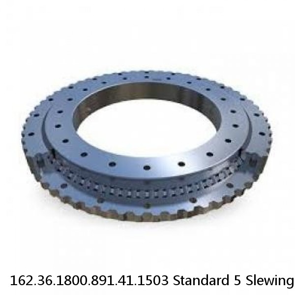 162.36.1800.891.41.1503 Standard 5 Slewing Ring Bearings #1 image