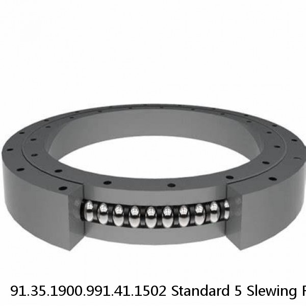 91.35.1900.991.41.1502 Standard 5 Slewing Ring Bearings #1 image