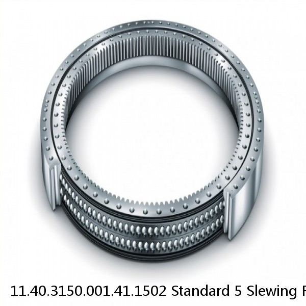 11.40.3150.001.41.1502 Standard 5 Slewing Ring Bearings #1 image
