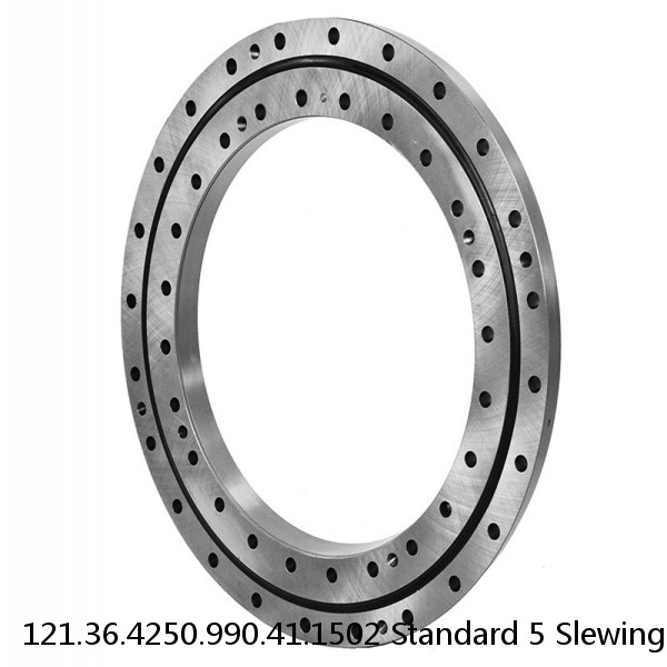 121.36.4250.990.41.1502 Standard 5 Slewing Ring Bearings #1 image