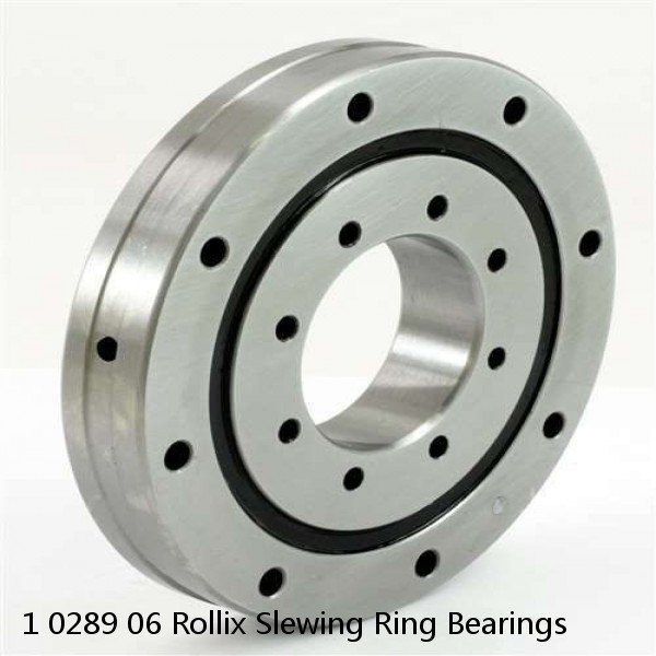 1 0289 06 Rollix Slewing Ring Bearings #1 image