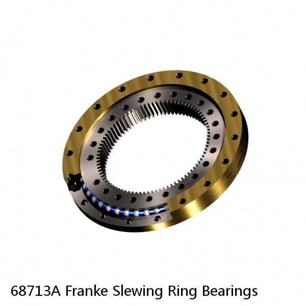 68713A Franke Slewing Ring Bearings #1 image