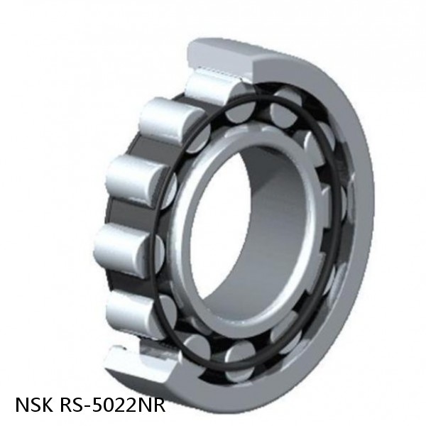 RS-5022NR NSK CYLINDRICAL ROLLER BEARING #1 image