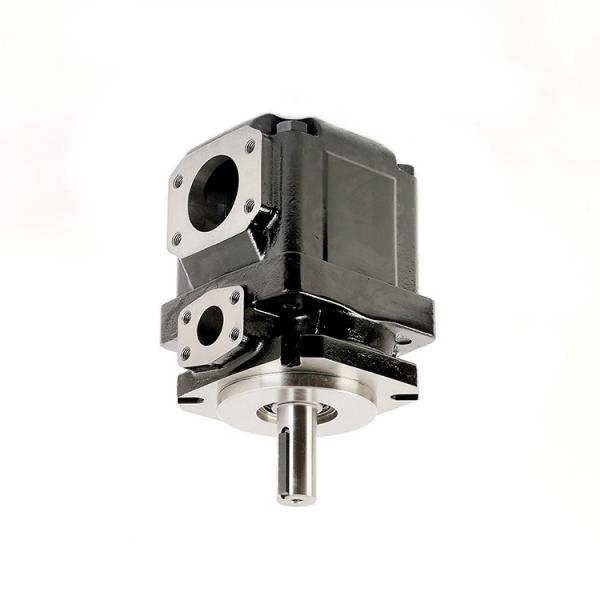 Denison PV6-1R1D-C02-000 Variable Displacement Piston Pump #2 image